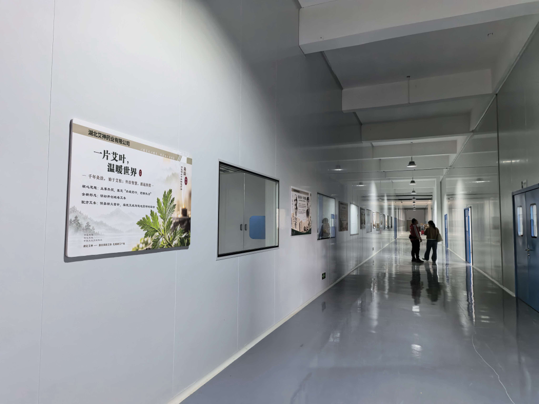 文化长廊实景：主看板与系列展板沿参观动线依次展开